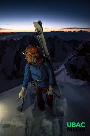 Les 4 Faces de l'Aiguille Verte's poster