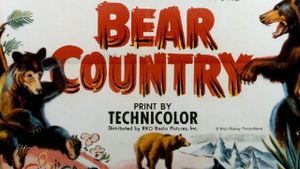 Bear Country's poster