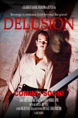 Delusion's poster