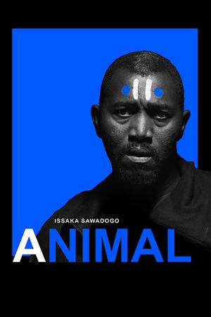 Animal's poster