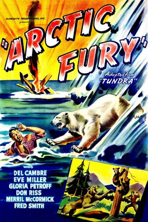 Arctic Fury's poster