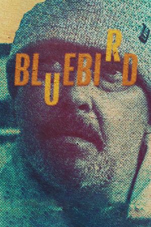 Bluebird's poster
