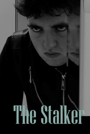 The Stalker's poster