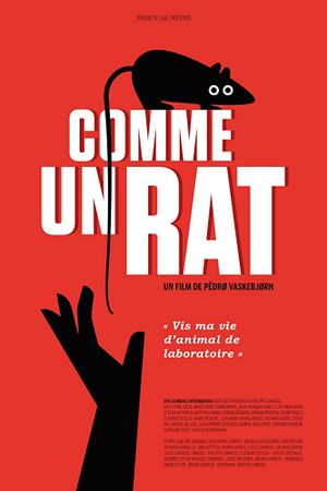 Comme un rat's poster
