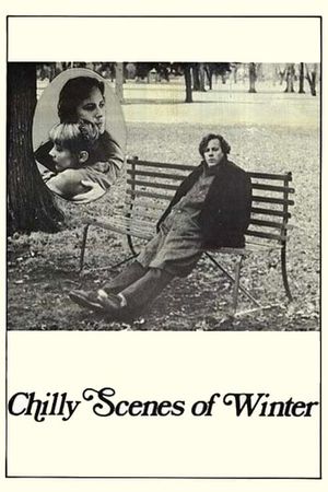Chilly Scenes of Winter's poster