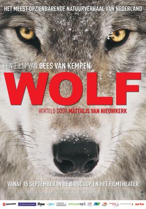 Wolf's poster