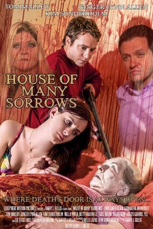 House of Many Sorrows's poster