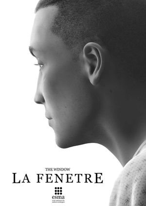 The Window's poster