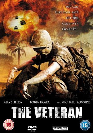 The Veteran's poster