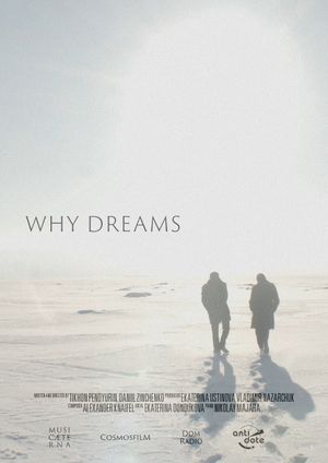 Why Dreams's poster