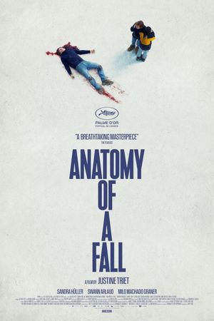 Anatomy of a Fall's poster