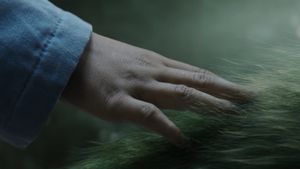 Pete's Dragon's poster