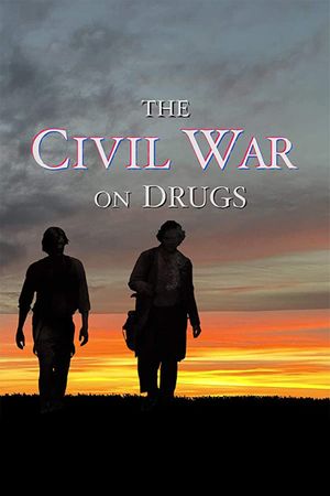 The Civil War on Drugs's poster