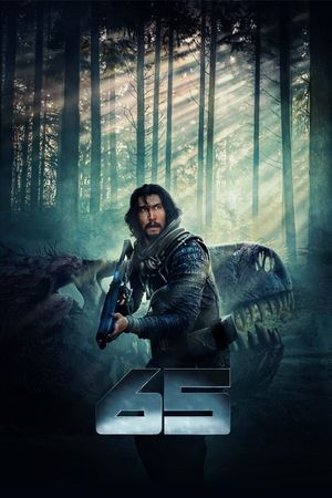 65's poster