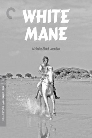 White Mane's poster