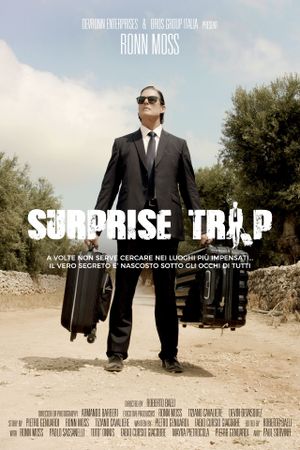 Surprise Trip's poster