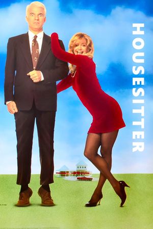 HouseSitter's poster