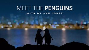 Meet the Penguins's poster