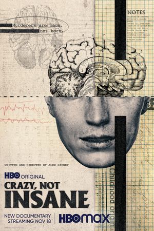 Crazy, Not Insane's poster