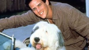 The Shaggy Dog's poster