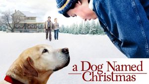 A Dog Named Christmas's poster