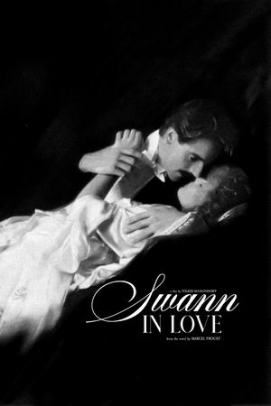 Swann in Love's poster