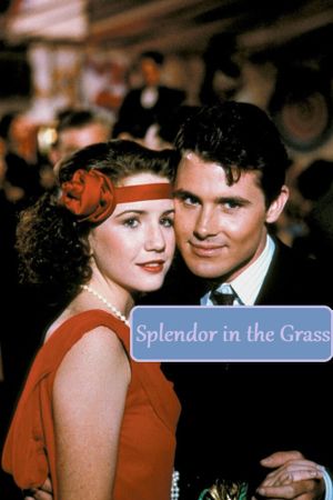 Splendor in the Grass's poster