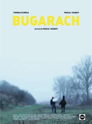 Bugarach's poster