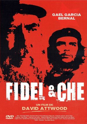 Fidel's poster