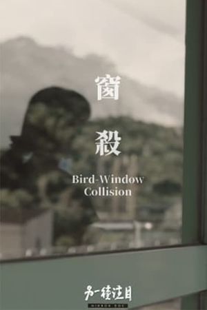 Bird-Window Collisions's poster image