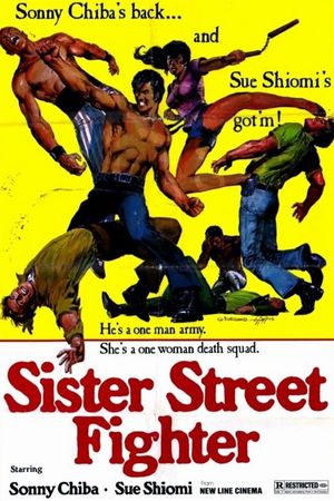 Sister Street Fighter's poster