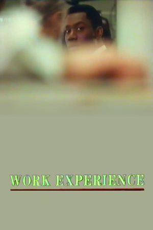 Work Experience's poster
