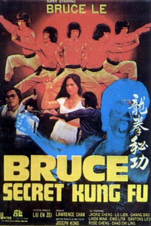 Bruce's Secret Kung Fu's poster