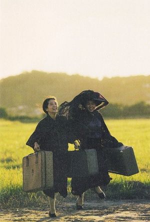 The Handmaiden's poster