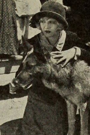 North Star's poster