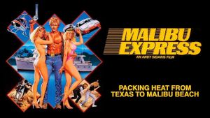 Malibu Express's poster
