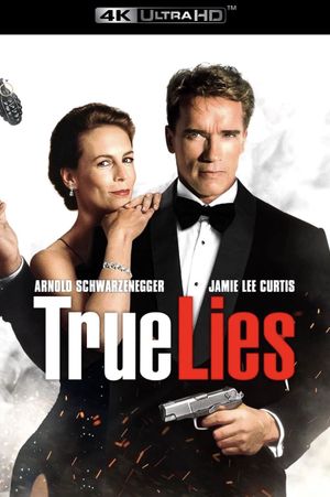 True Lies's poster