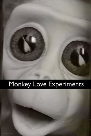 Monkey Love Experiments's poster