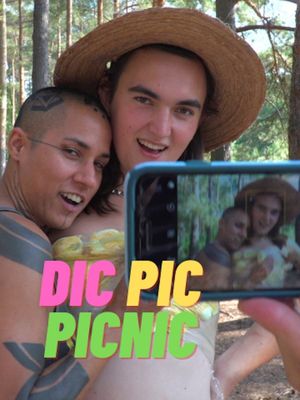 Dic Pic Picnic's poster