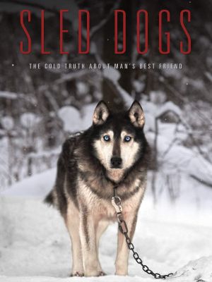 Sled Dogs's poster