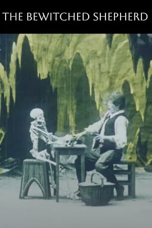 The Bewitched Shepherd's poster