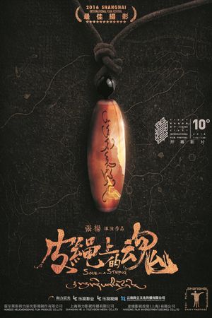 Soul on a String's poster