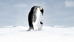 March of the Penguins's poster
