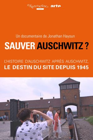 Sauver Auschwitz ?'s poster