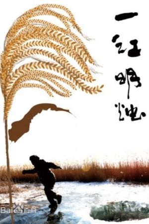 一江明烛's poster image