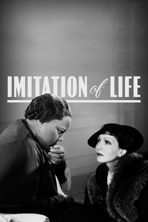 Imitation of Life's poster
