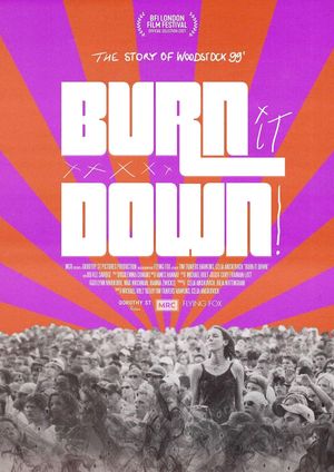 BURN IT DOWN!'s poster image