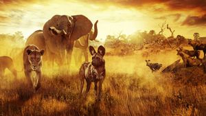 Surviving Paradise: A Family Tale's poster