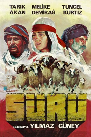 The Herd's poster