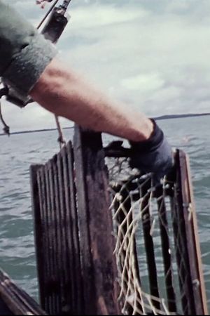 Lobsterman's poster